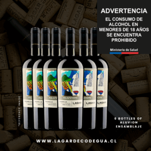 6 bot x Aluvión Ensamblaje