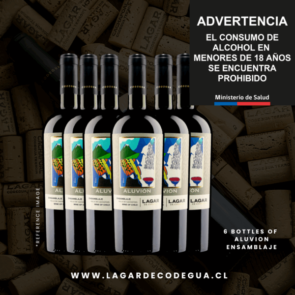 6 bot x Aluvión Ensamblaje