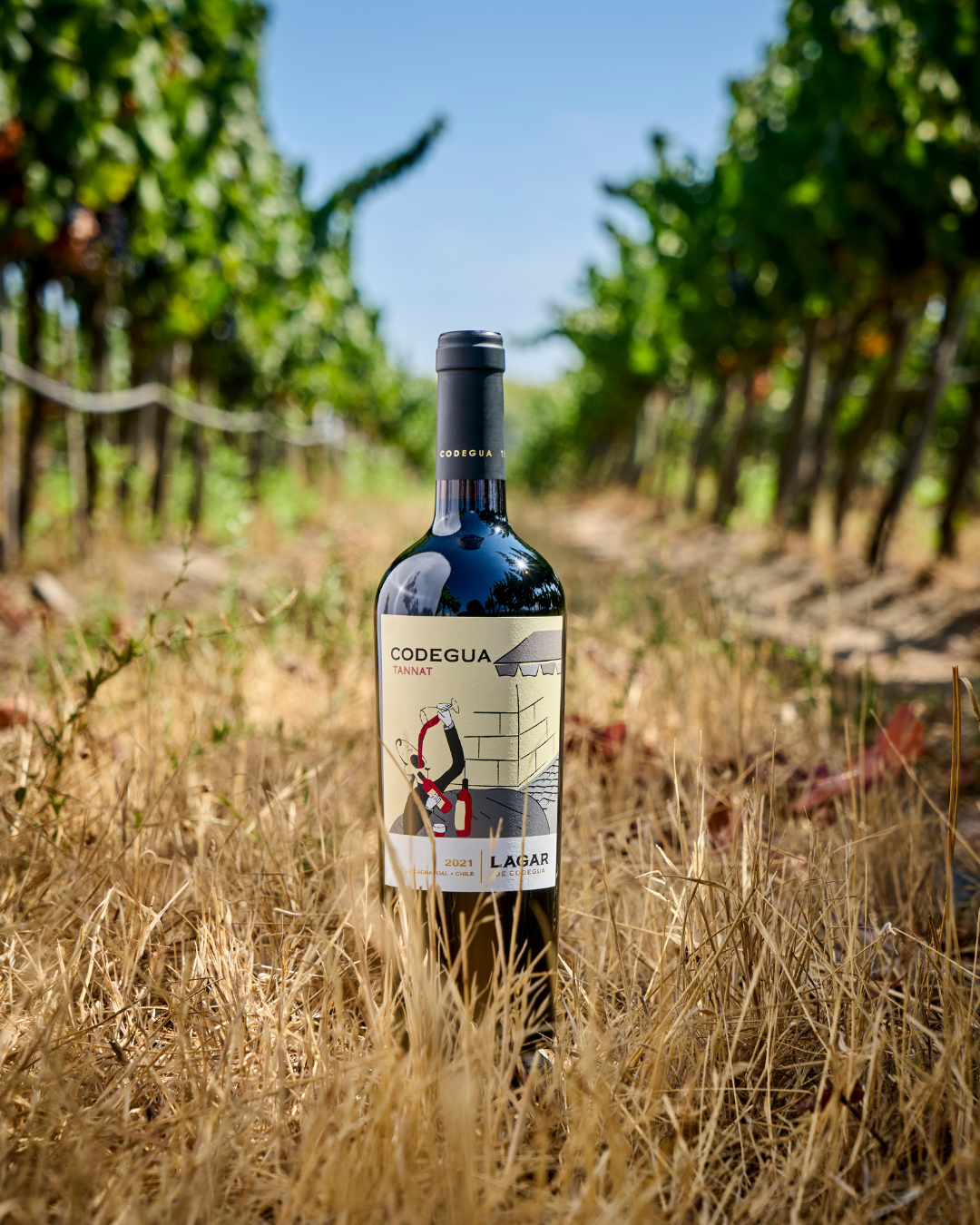 Tannat 2021 - Imagen 3