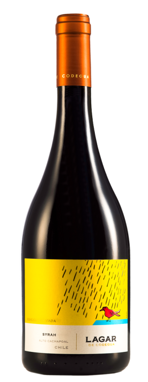 Syrah Edición Limitada 2019