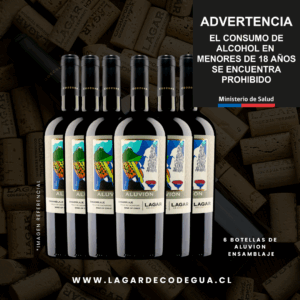 6 bot x Aluvión Ensamblaje