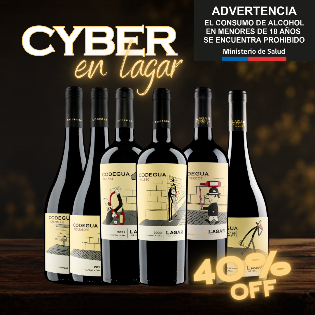 Cyber Mix Codegua